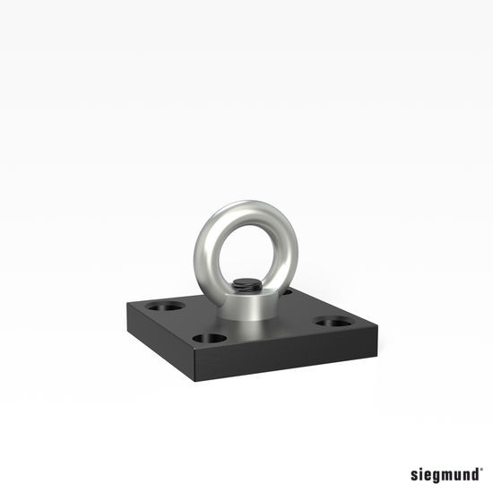 254403-0000000454025-GANCHO-DE-TRANSPORTE-C-PLACA-NITRURADO-REF-2-000830-N-SIEGMUND Gancho de transporte con placa nitrurado 2-000830.N PLACA-NITRURADO SIEGMUND - Imagen 1